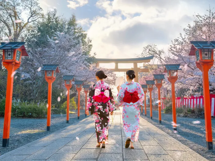 Japanska kvinnor i traditionella kläder i park med körsbärsblom.