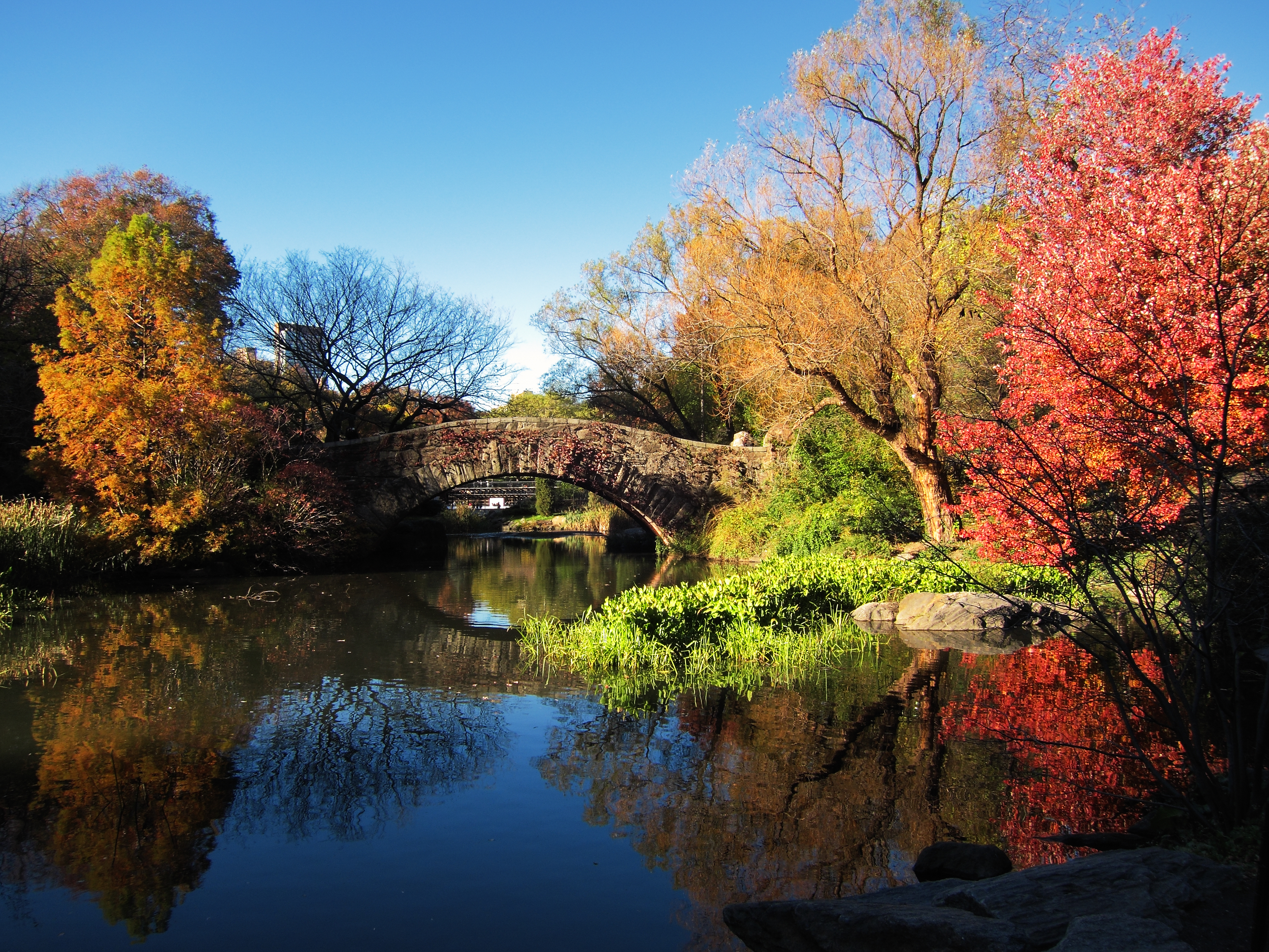 Central park New York i höstfärger med Gapstow bridge