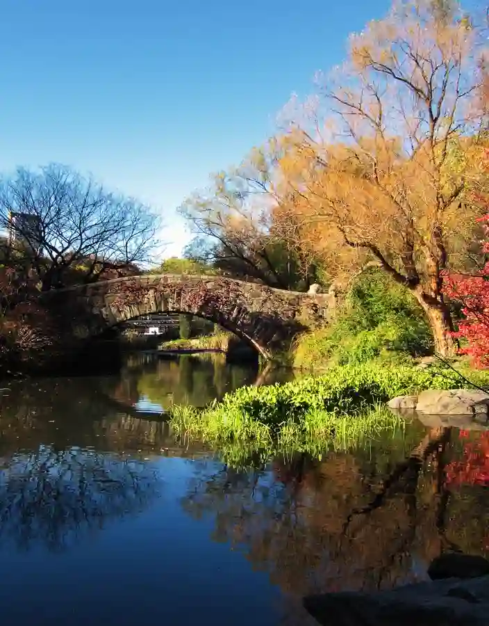 Central park New York i höstfärger med Gapstow bridge
