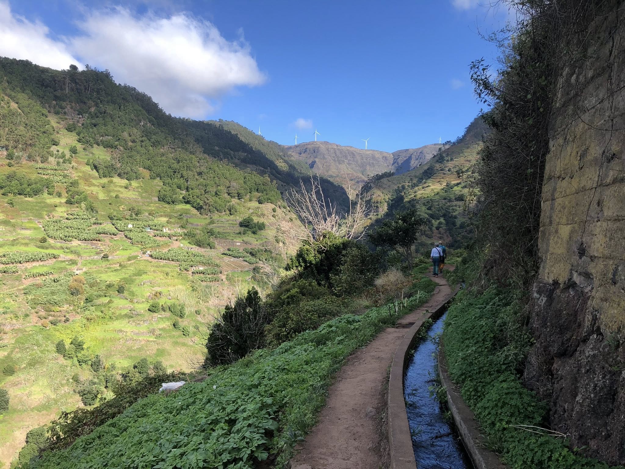 Levada