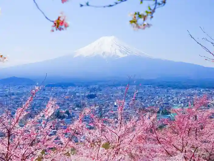 Mount Fuji omges av färgstarka höstlöv i ett klassiskt japanskt landskap.