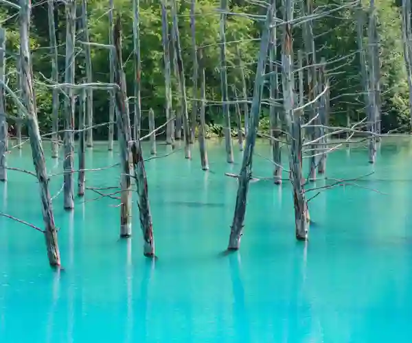 Blue Pond