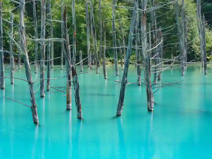 Blue Pond
