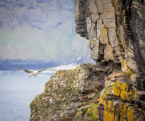 Cliffs of Moher