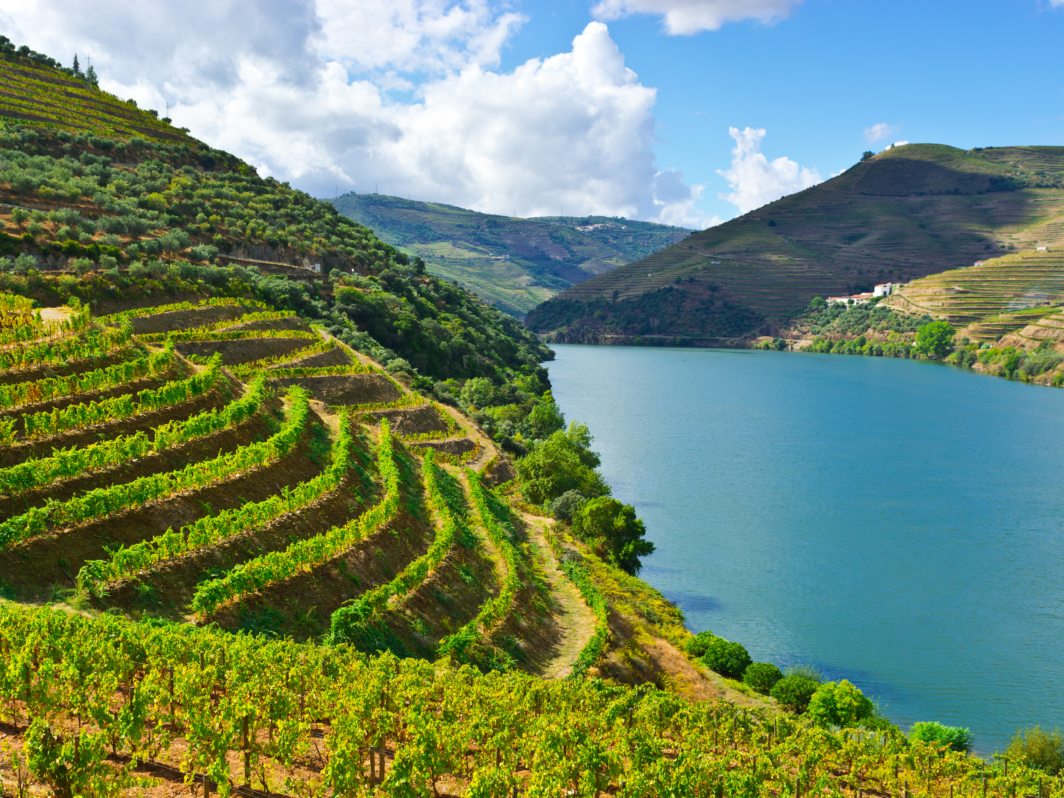 Douro