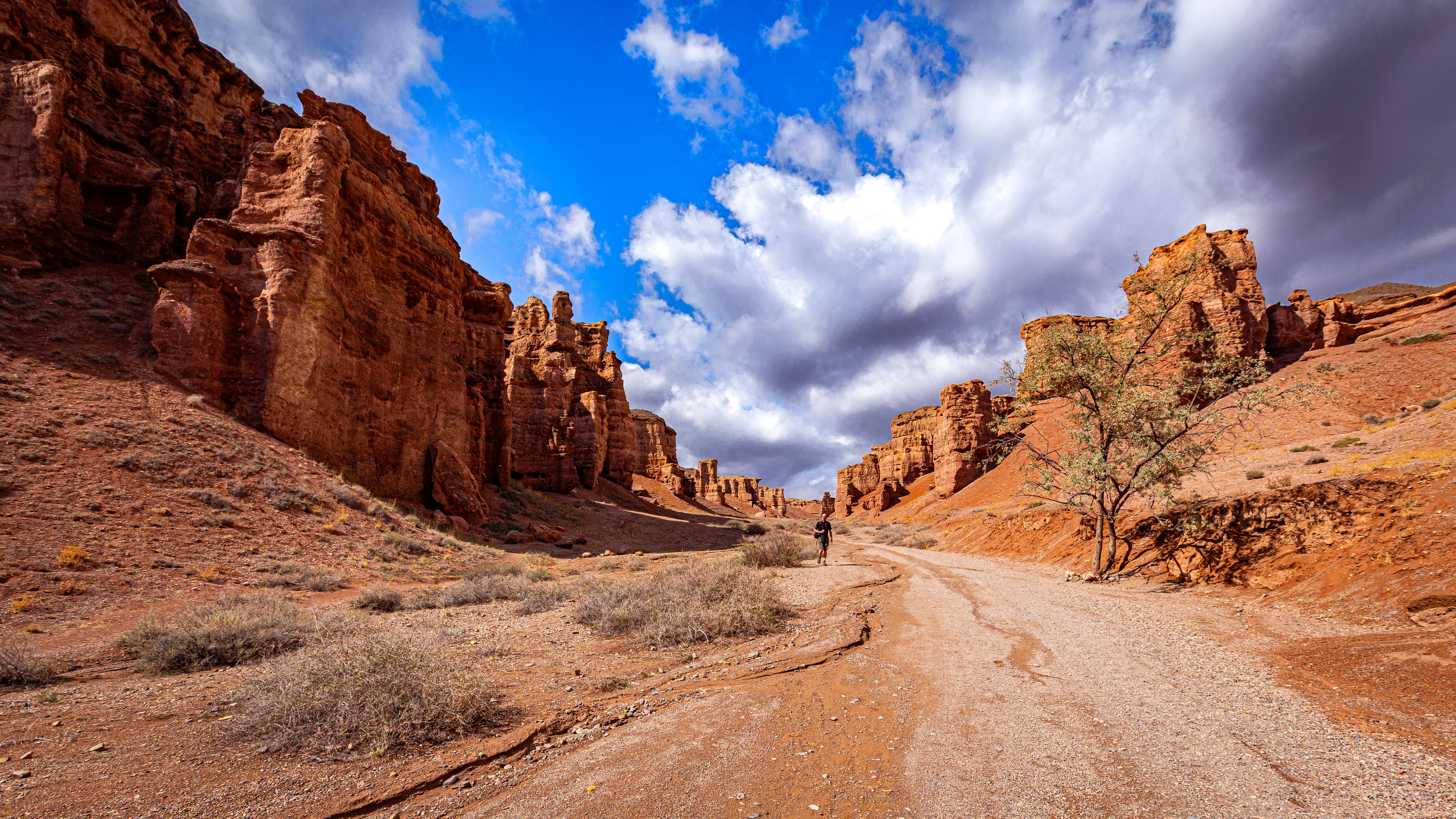Charyn Canyon 
