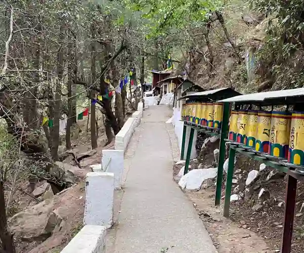 Kora walk, Privat foto fra Kirsten