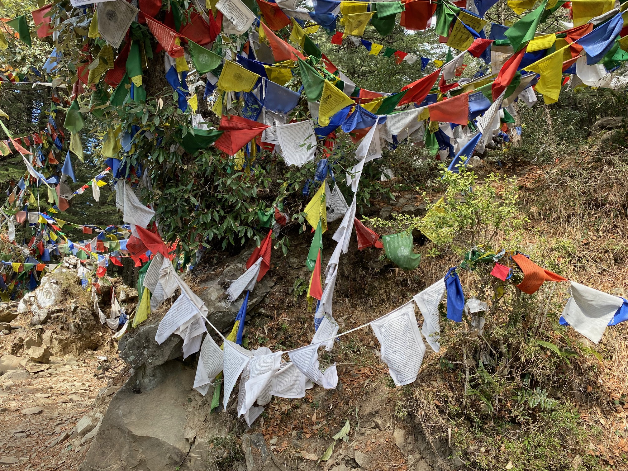 Vandretur i Naddi, privat foto fra Kirsten