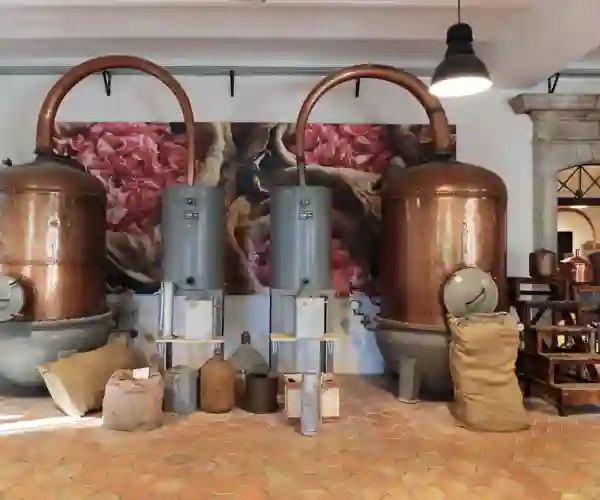 Historisk parfymefabrikk i Grasse