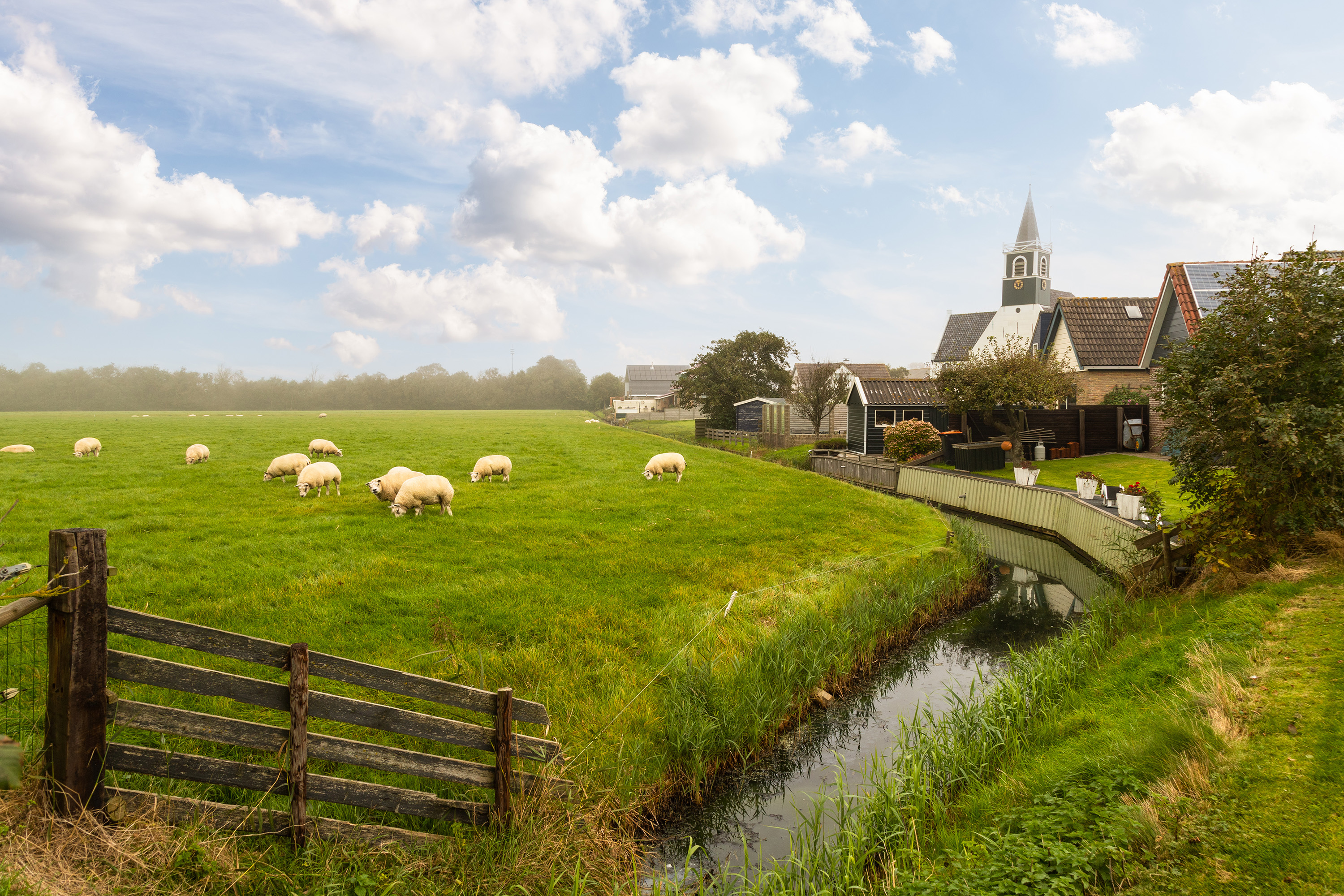 Texel