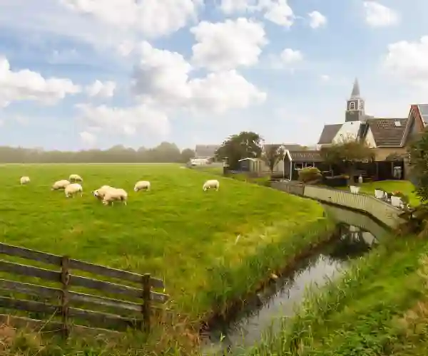Texel