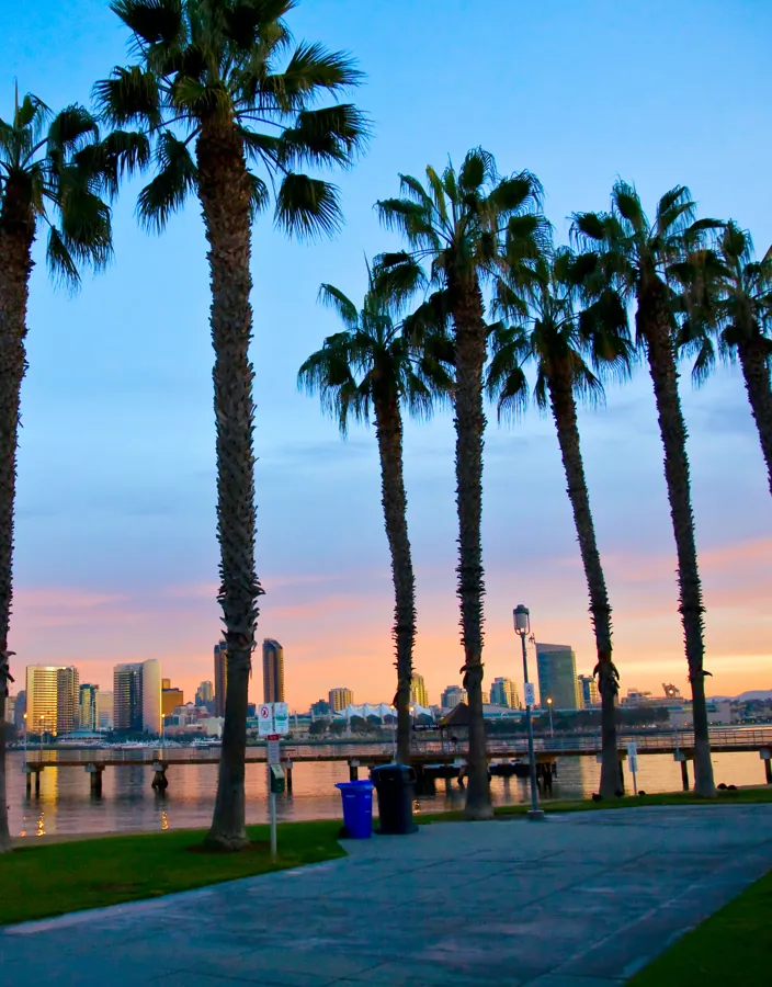 San Diegos palmer och stadssiluett i Skymning