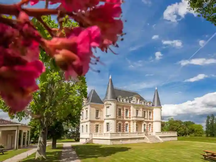 Chateau Lamothe Bergeron