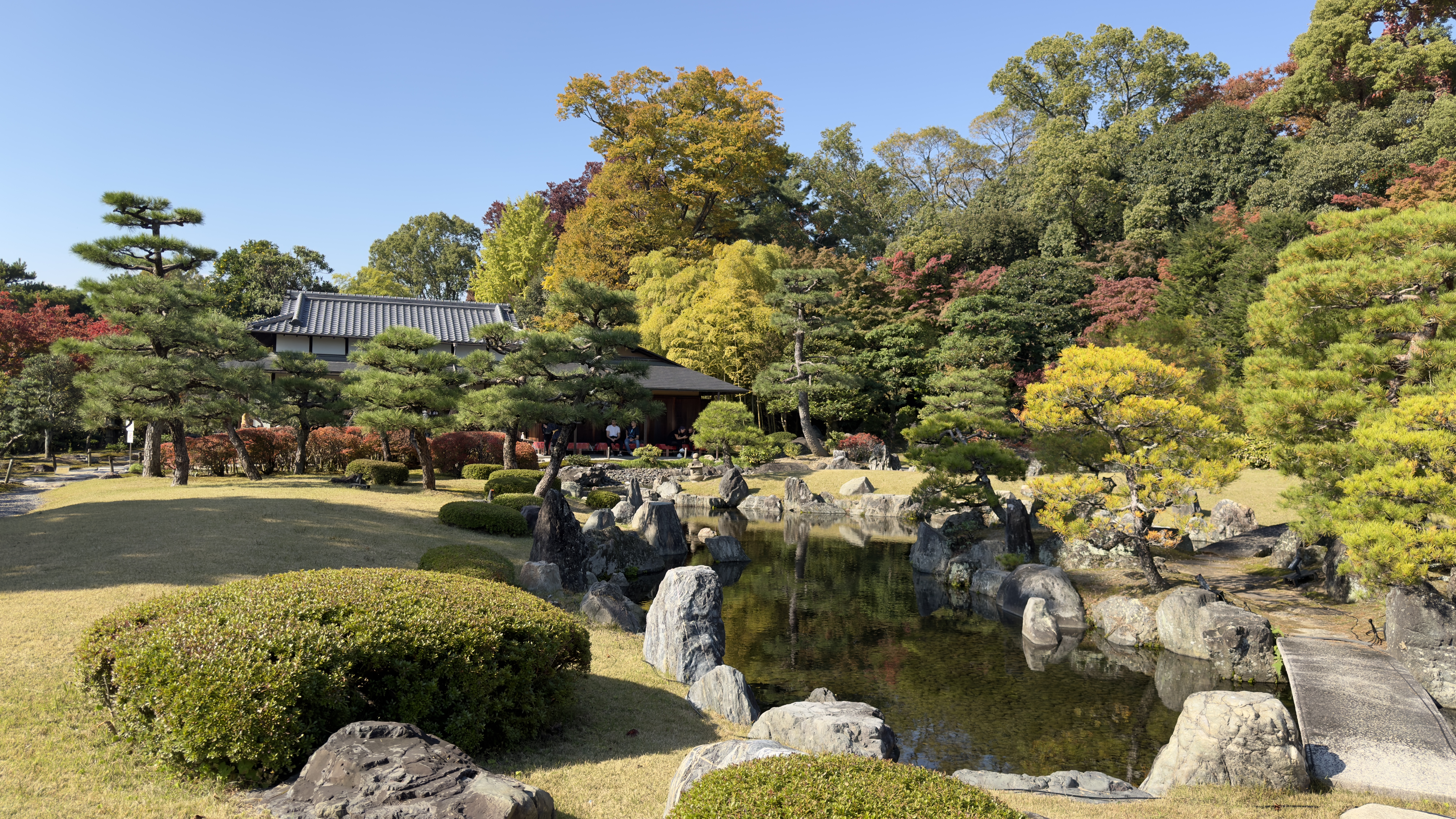 Hagen rundt Kinkaku-Ji
