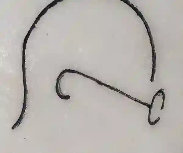 Gandhi, privat foto fra Kirsten