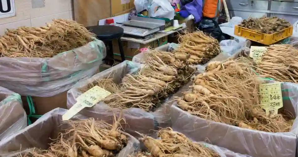 Ginseng