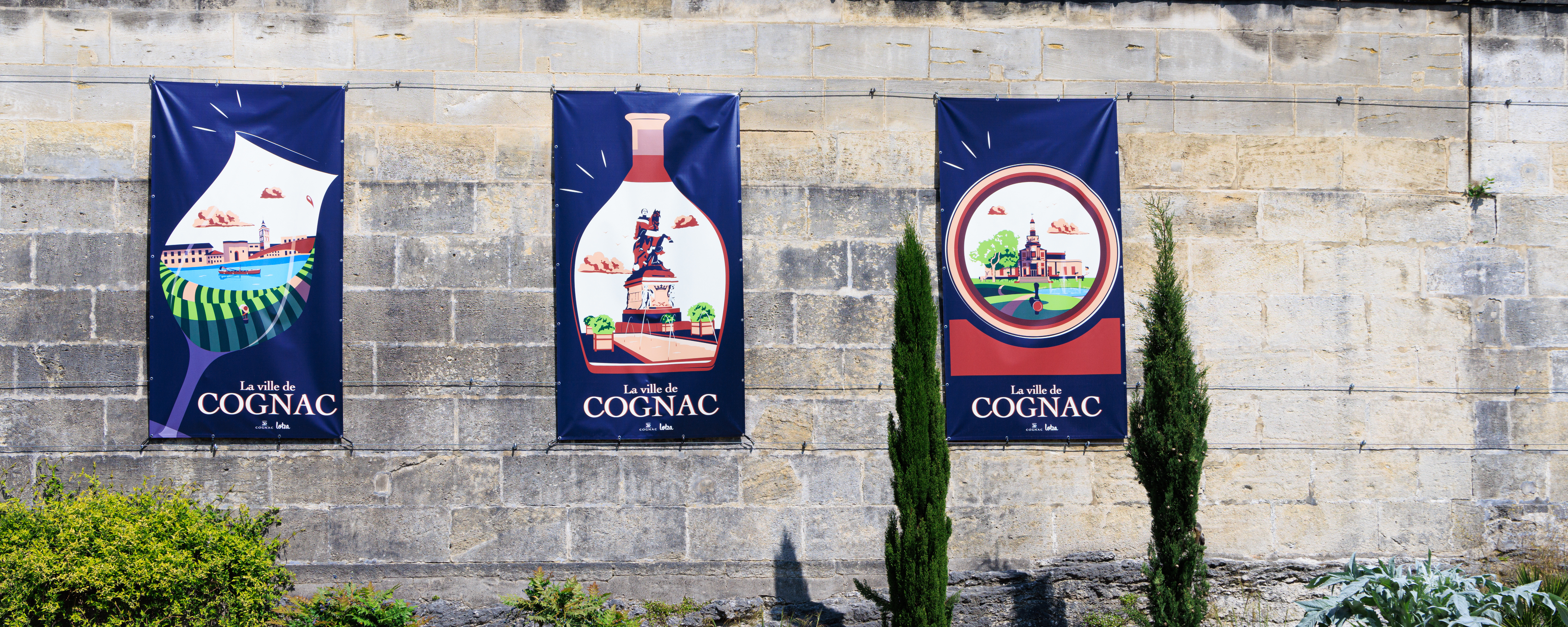 Cognac 