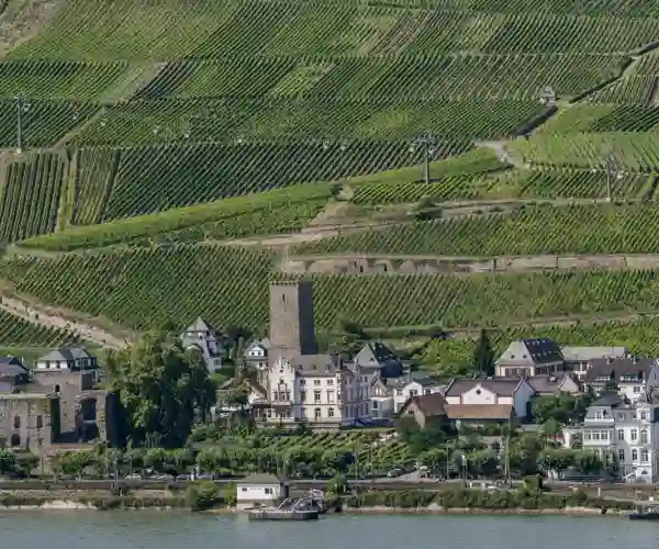 Rüdesheim