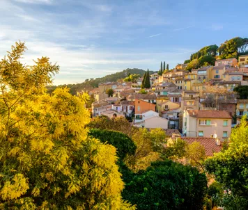 Bormes Les Mimosas