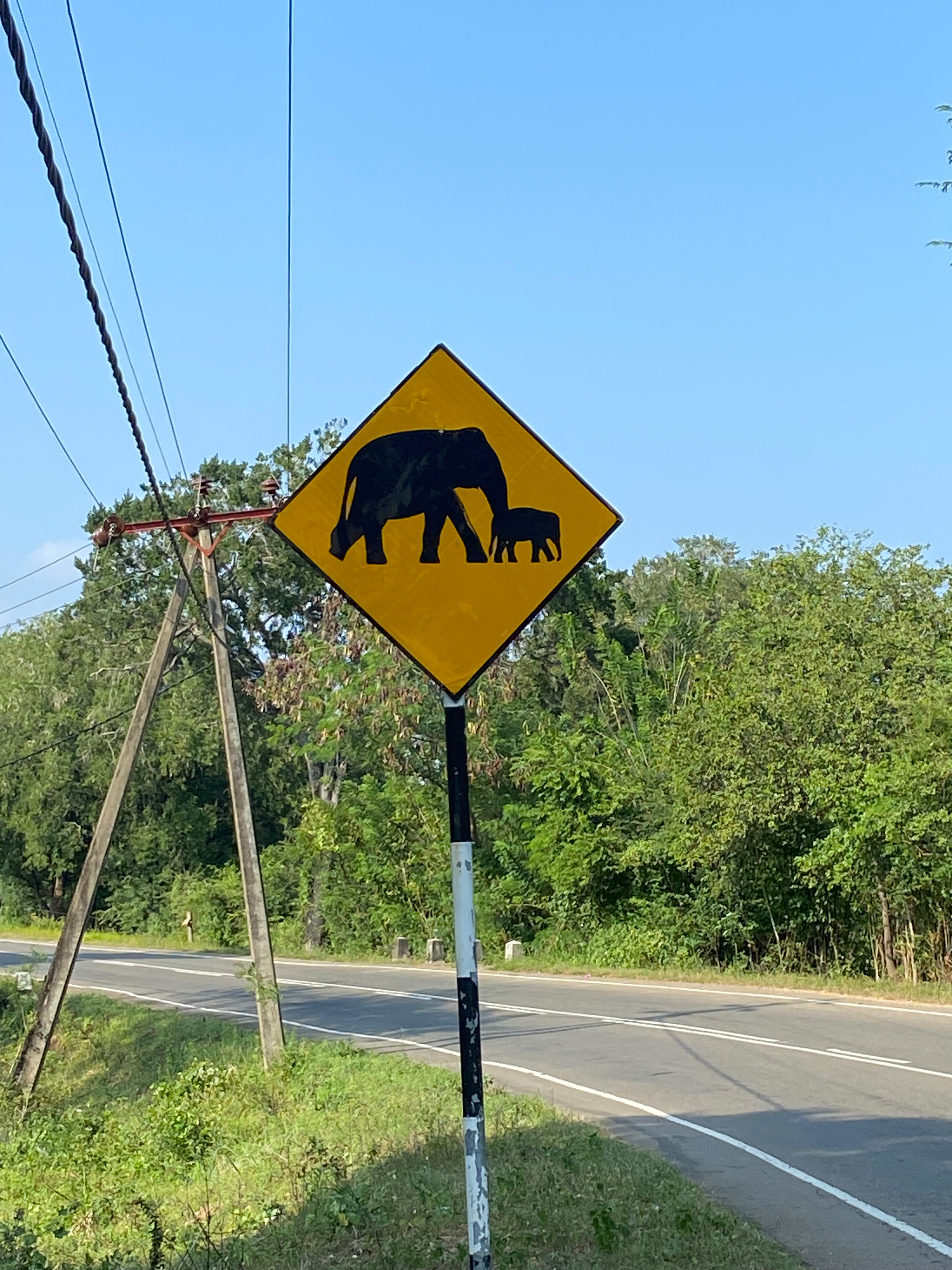 Udawalawa Elephant Sanctuary