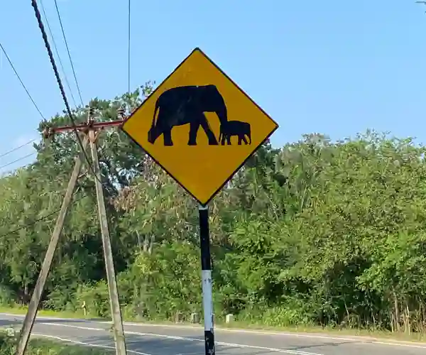 Udawalawa Elephant Sanctuary
