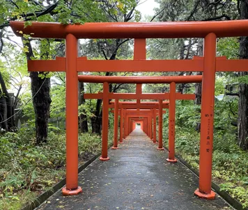 Fushimi Inari Shine