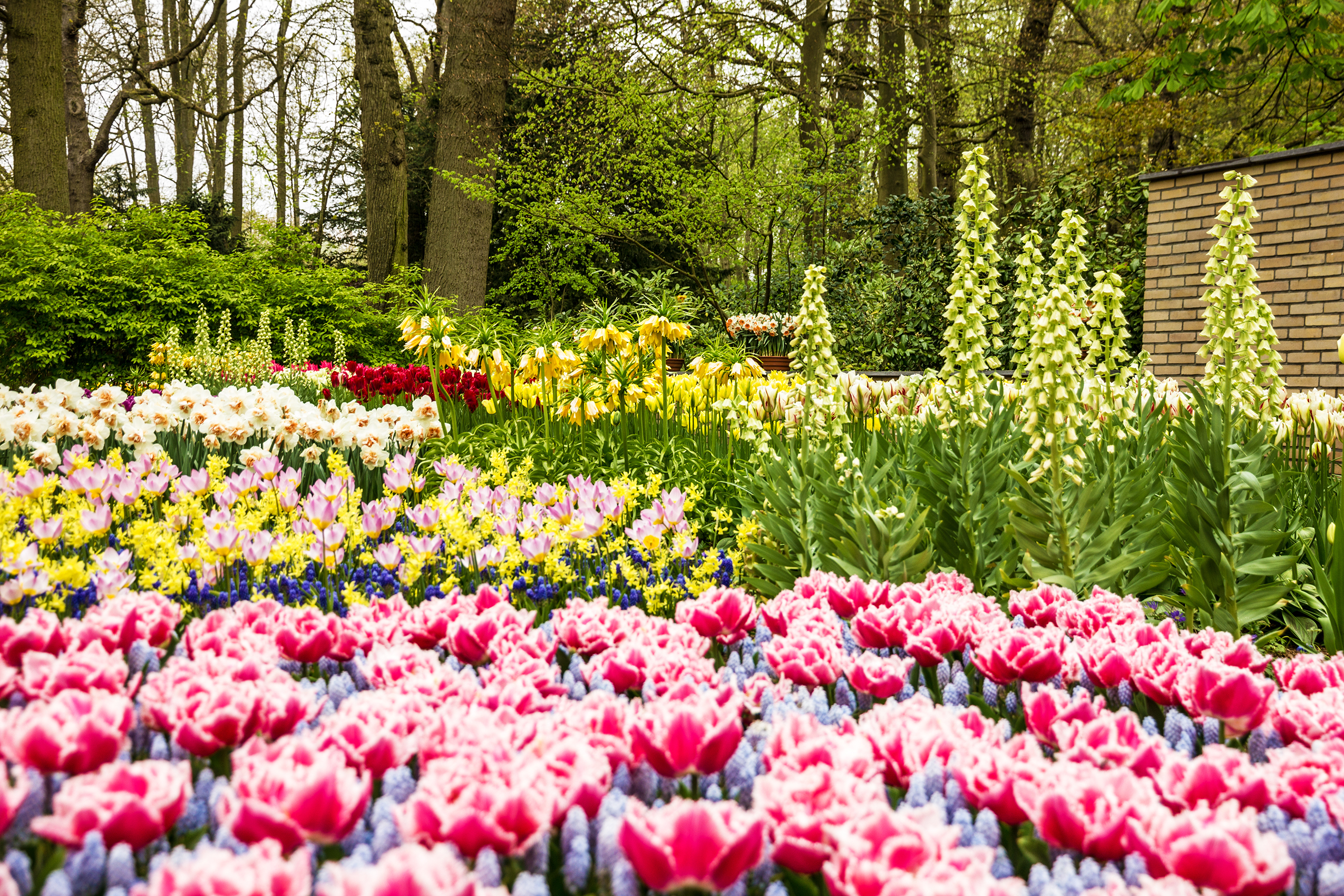 Keukenhof