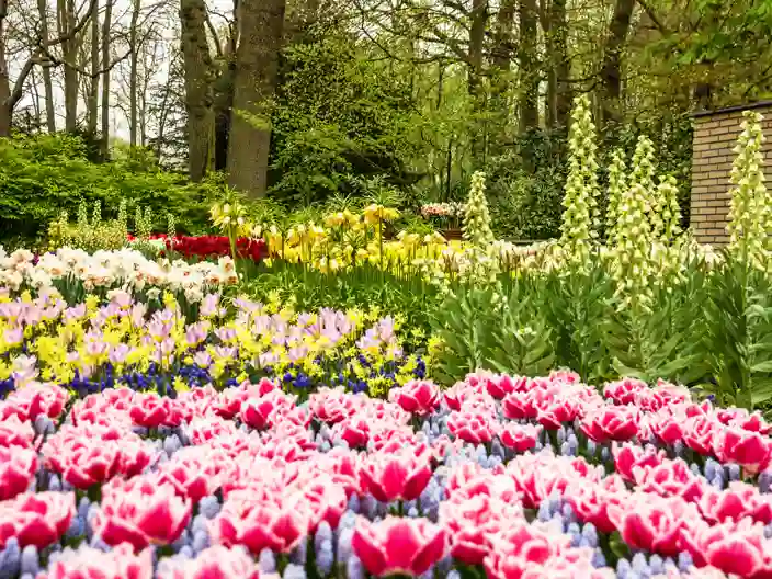 Keukenhof