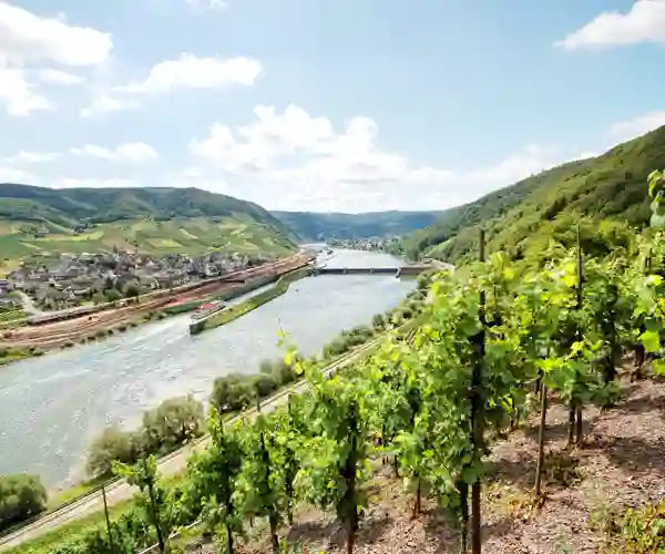 Fankel ved Mosel