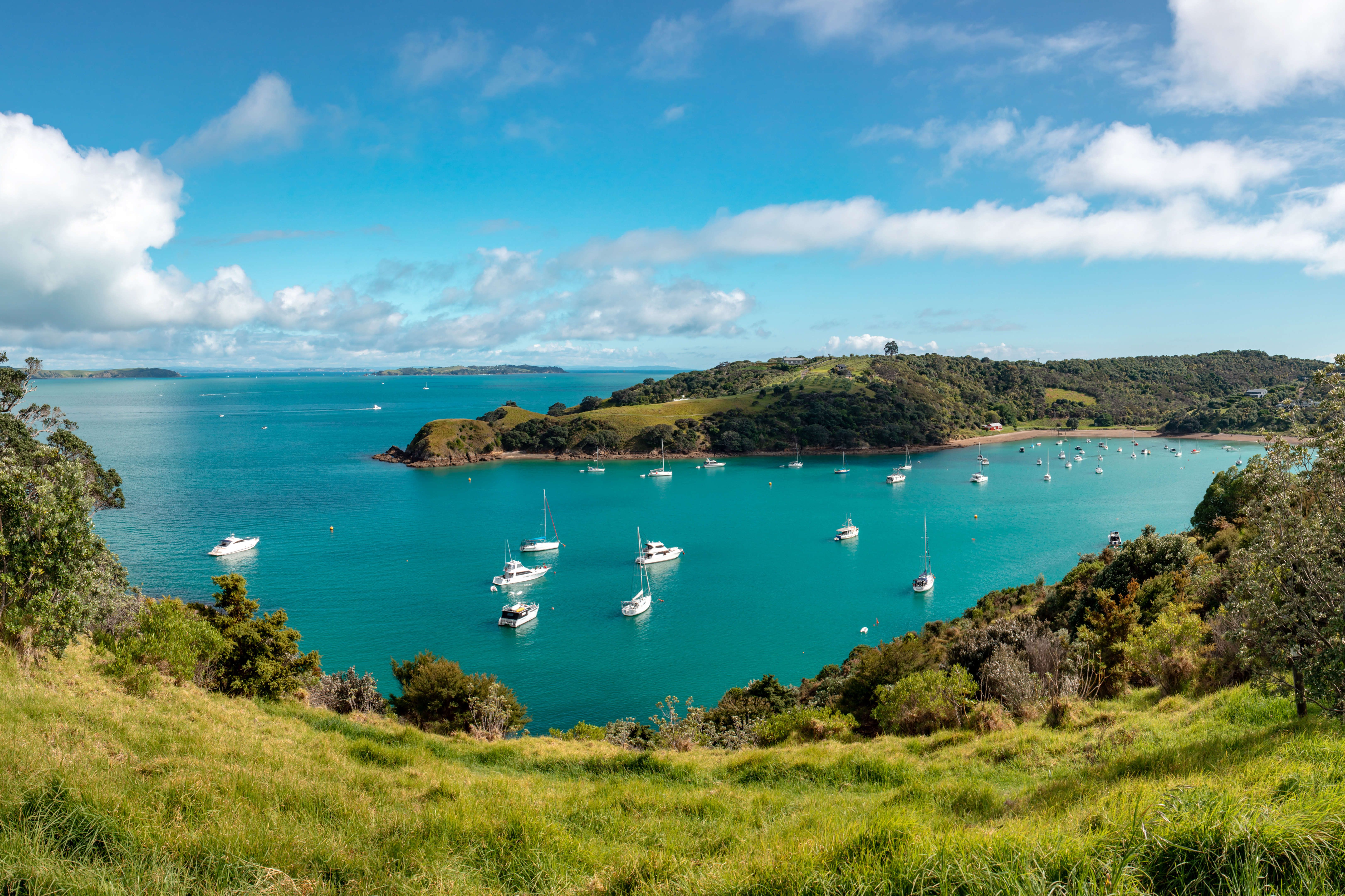 Waiheke