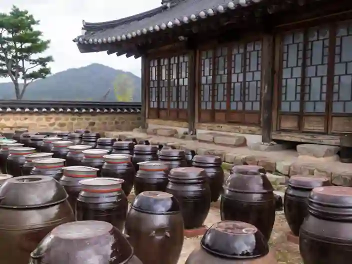 Gæringsglas Til Kimchi