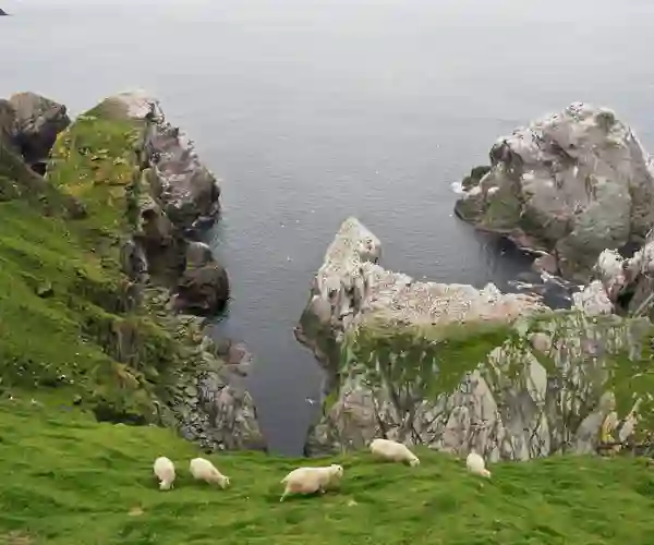 Hermaness National Nature Reserve