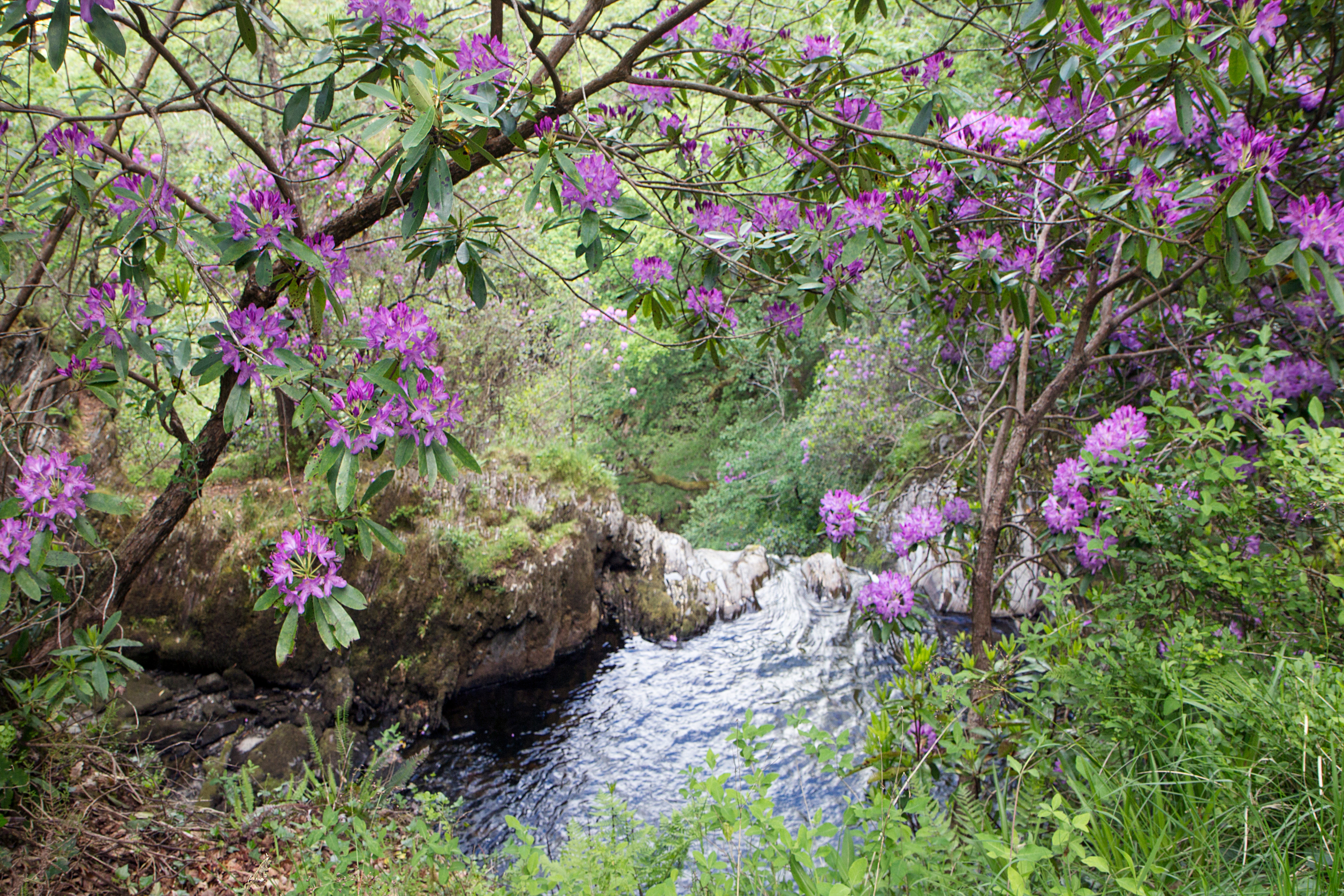 Djævlebroens Vandfald