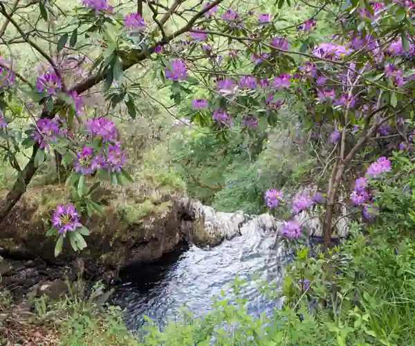 Djævlebroens Vandfald