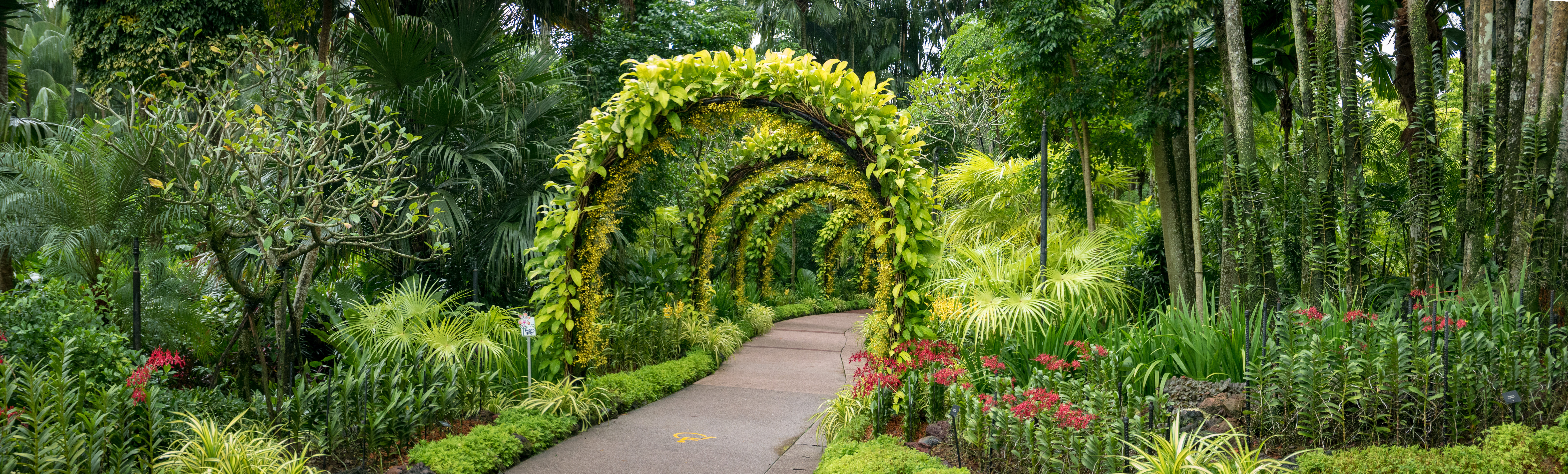 Singapores Botaniske Have