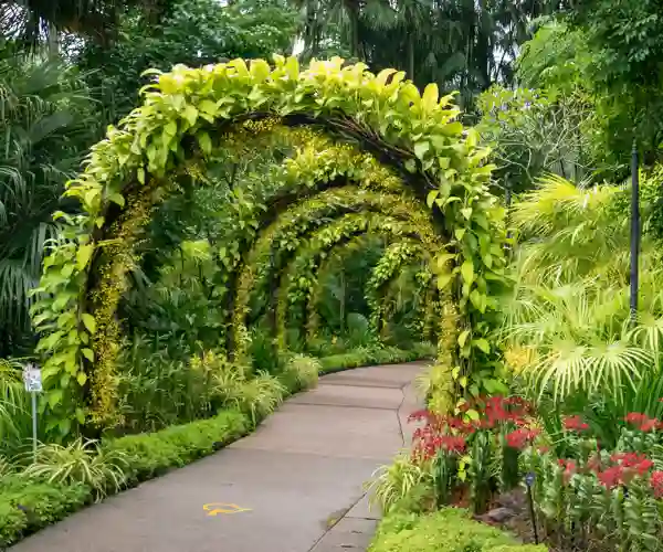 Singapores Botaniske Have