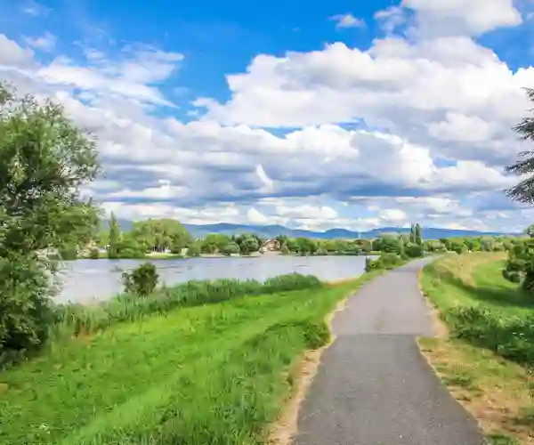 Mot Ladenburg