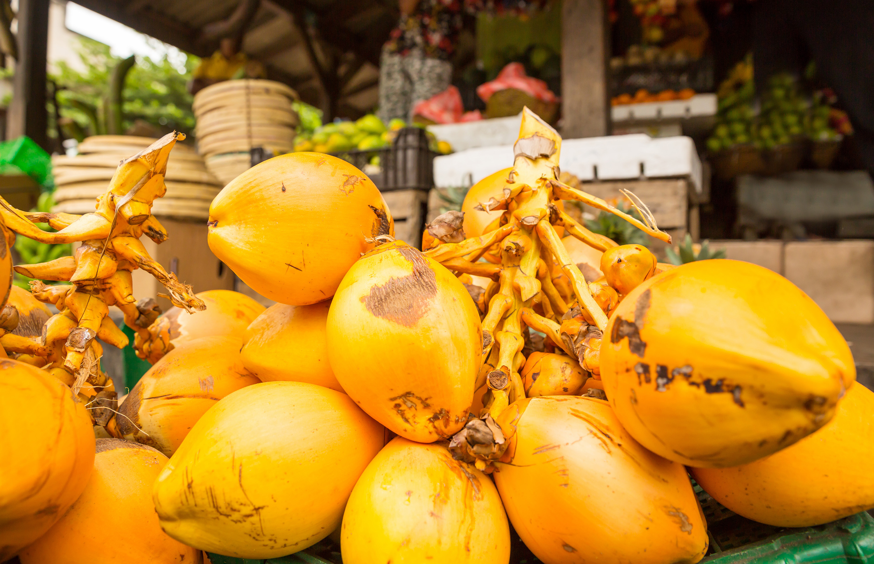 King Coconut