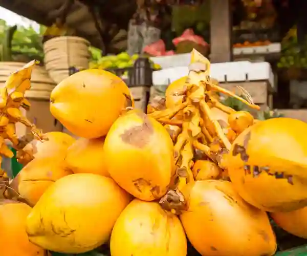 King Coconut
