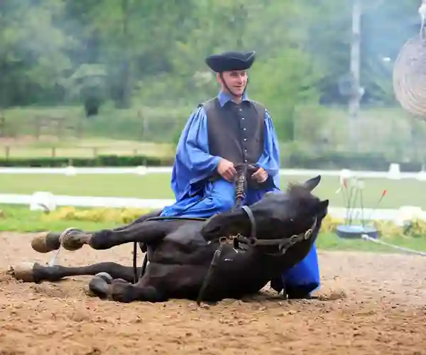 Puztaen - optræden af veltrænede ungarske heste og dristige ryttere.