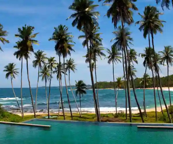 Palmestrand i Bentota