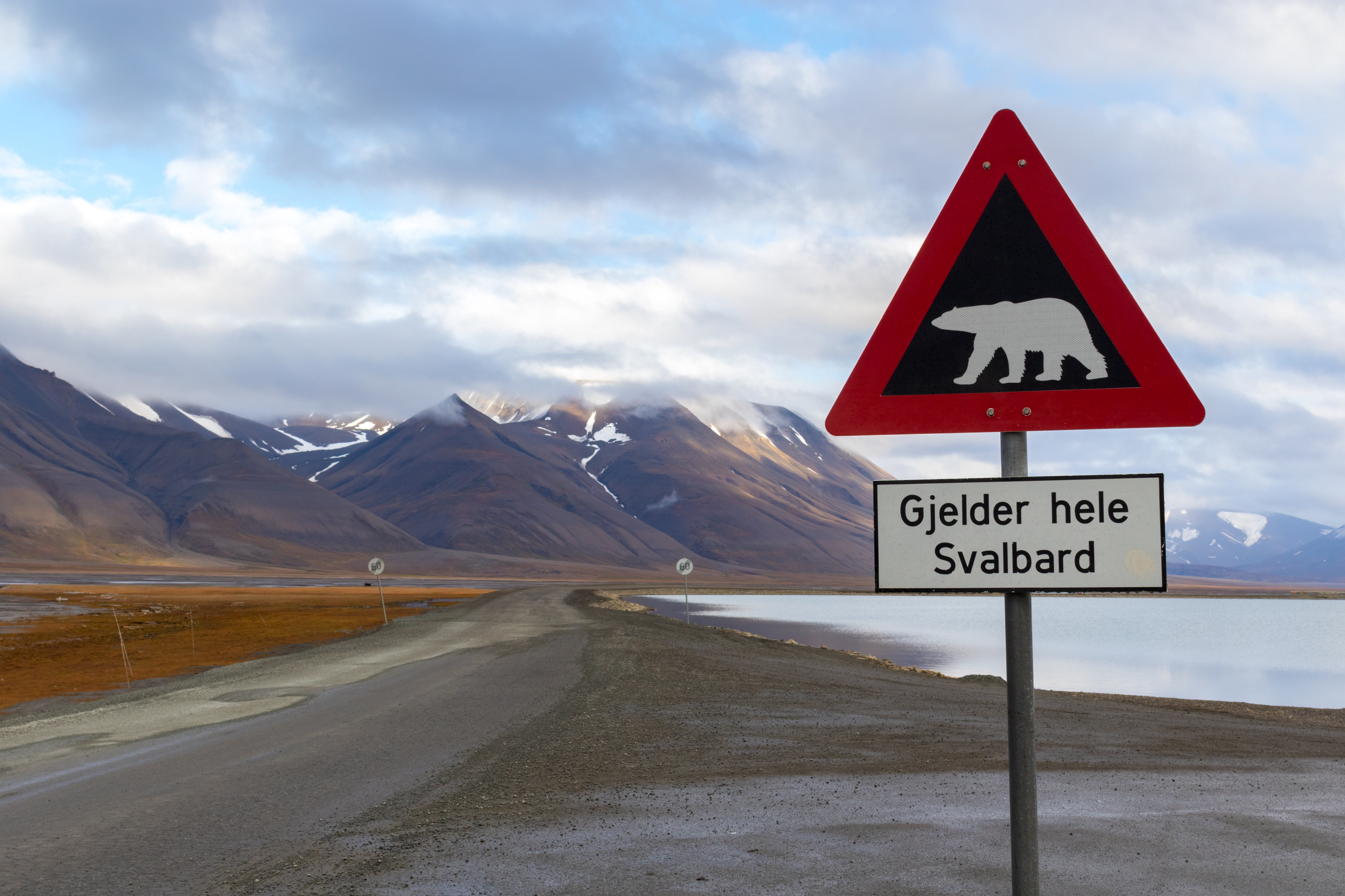 Livet på Svalbard