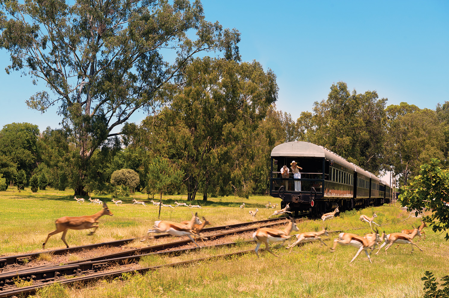 Balkong bakerst på Rovos Rail