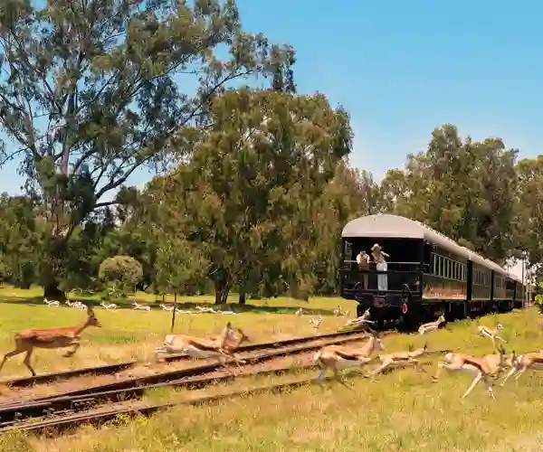 Balkong bakerst på Rovos Rail