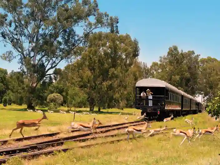 Balkong bakerst på Rovos Rail