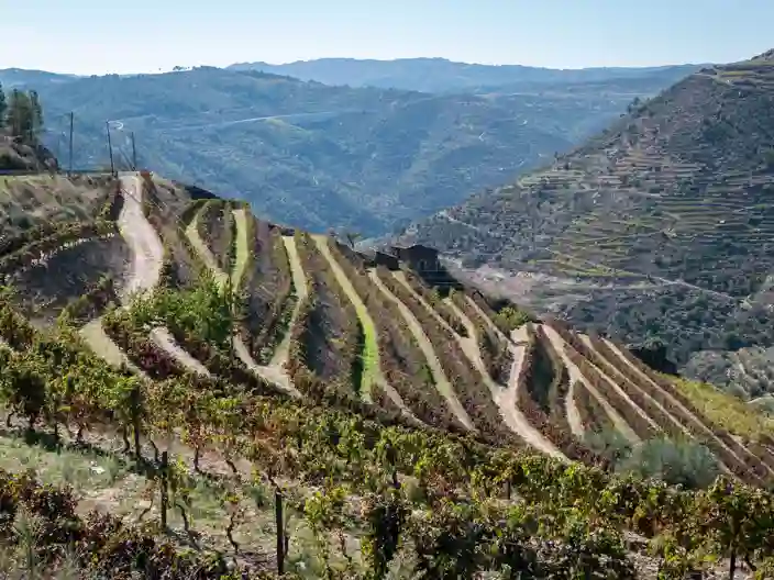 Vinmarker i Portugal