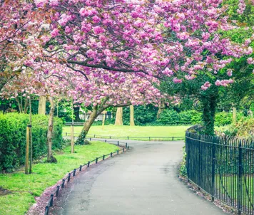 St. Stephen’S Green
