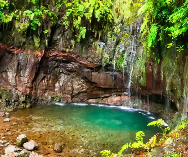 Levadaer på Madeira