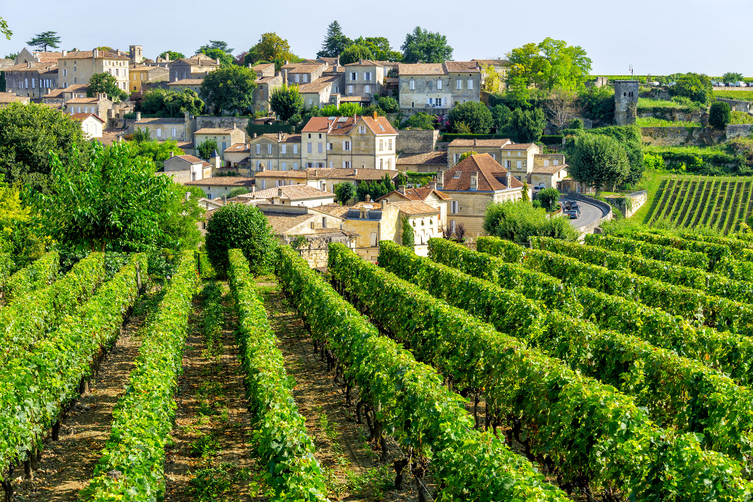 Vinmarkerne omkring Saint-Émilion