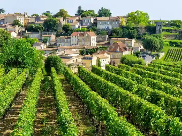 Vinmarkerne omkring Saint-Émilion